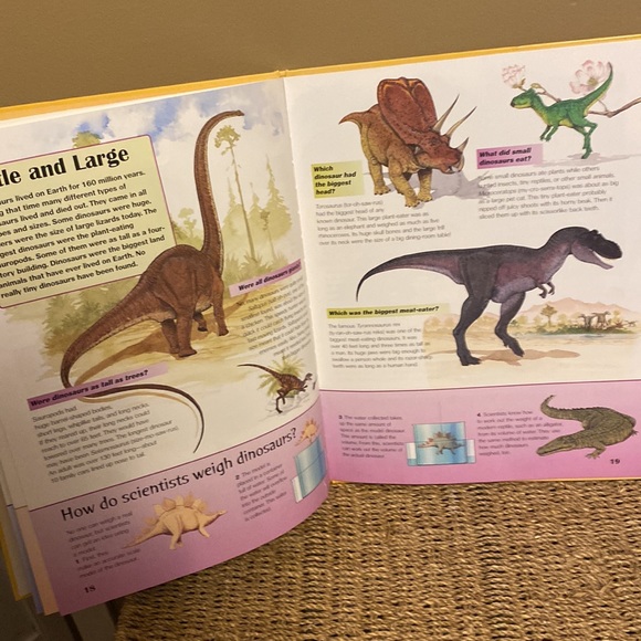 Dinosaur Plush and Book Bundle - Picture 5 of 8